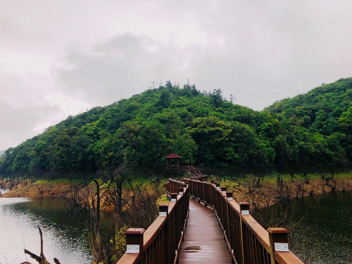 岛