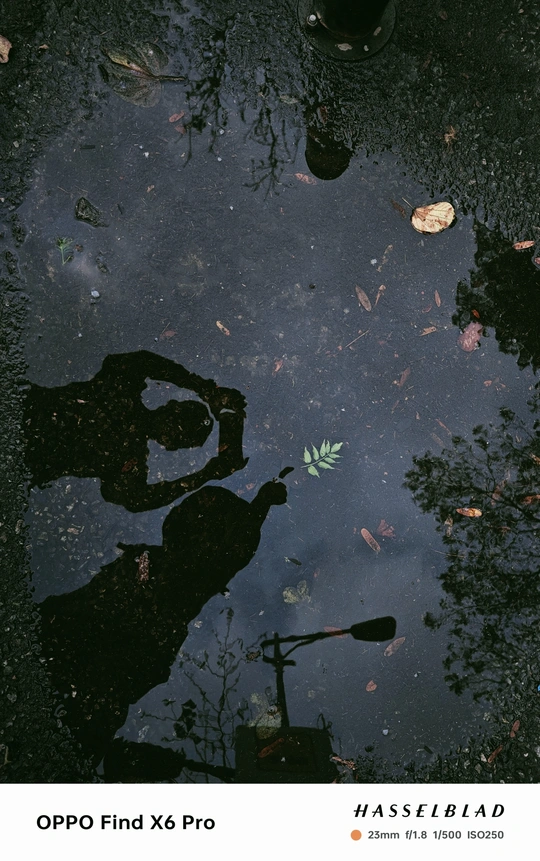 一个人在有植物和花卉的积水坑中 拿着伞的倒影海报