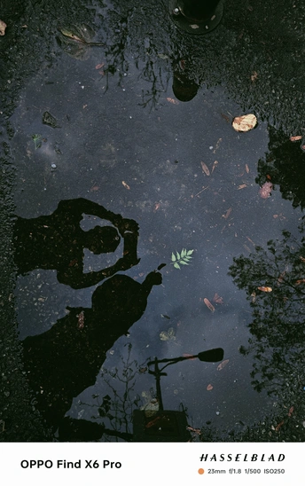 一个人在有植物和花卉的积水坑中 拿着伞的倒影海报