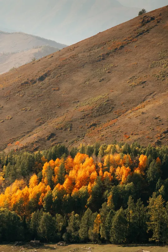 一个山谷 有河流和树木的山中