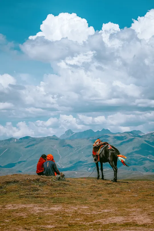 一个人坐在山坡上 旁边有一匹马 背景是山脉。