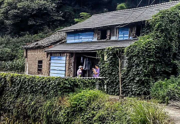 深山老宅迎新客