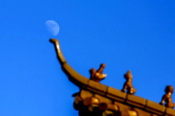 月是故乡明