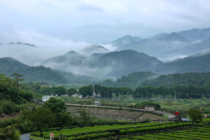空山新雨后