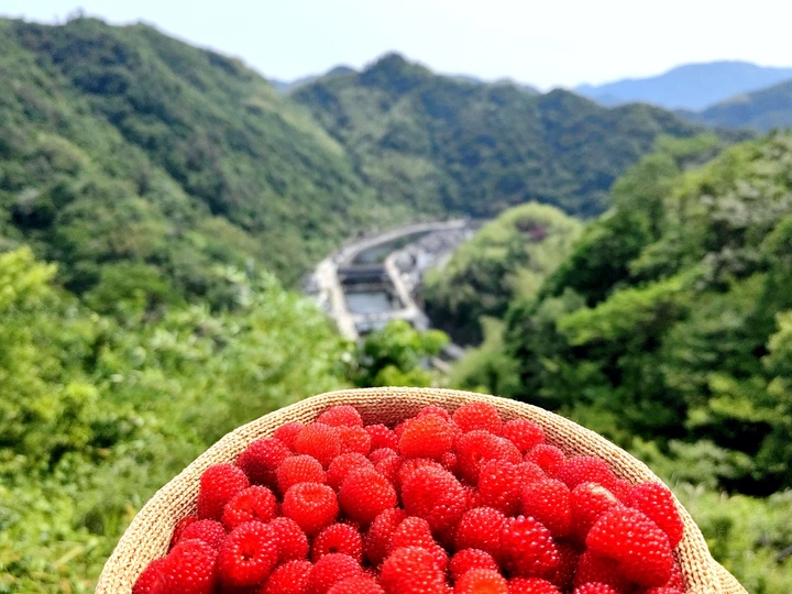古村随拍
