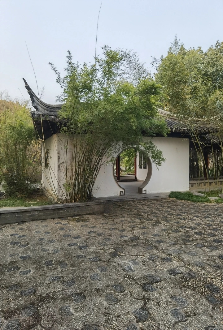 翠竹