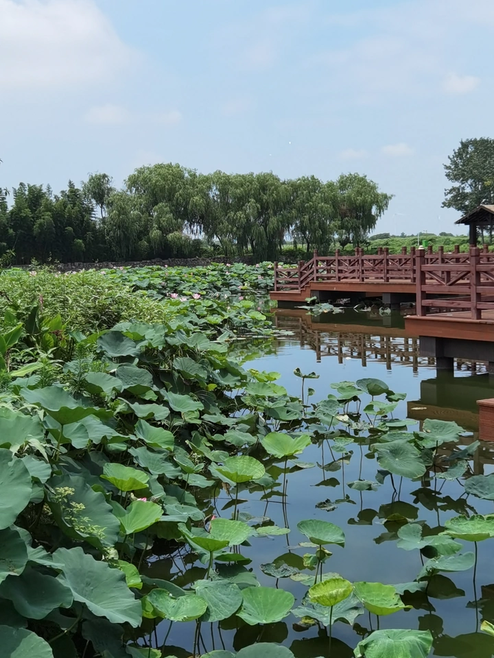 水上森林公园