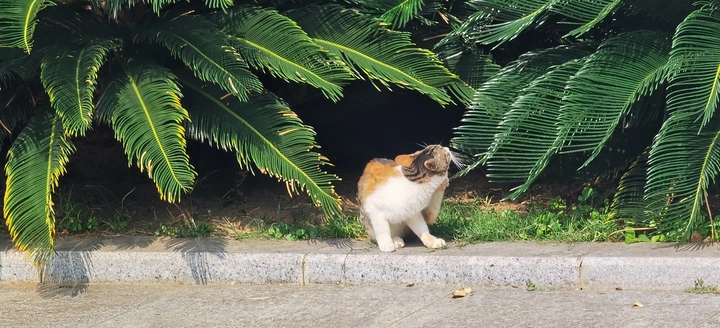 金秋十月
