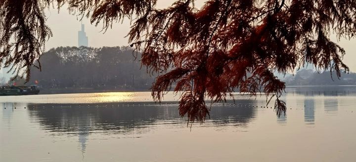 玄武湖