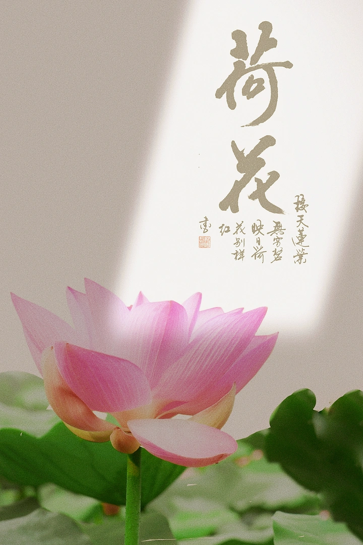 荷韵国风
