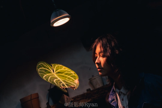 一个年轻男子拿着一片绿色叶子站在一个光线昏暗的房间里
