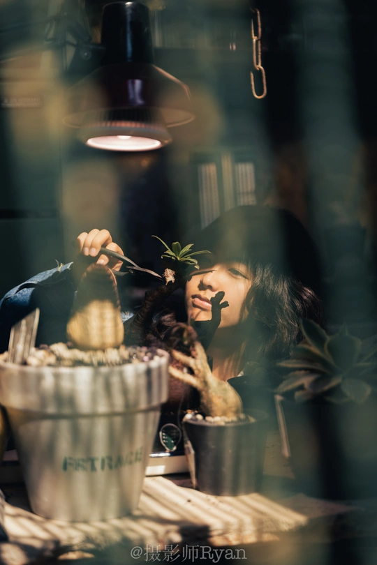 一个人坐在窗前桌子上吃植物盆栽里的食物