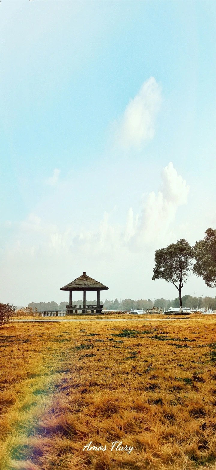 晴天•梦实现