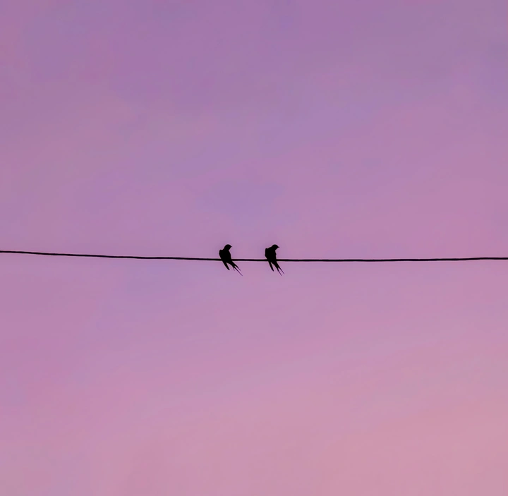 晚歌