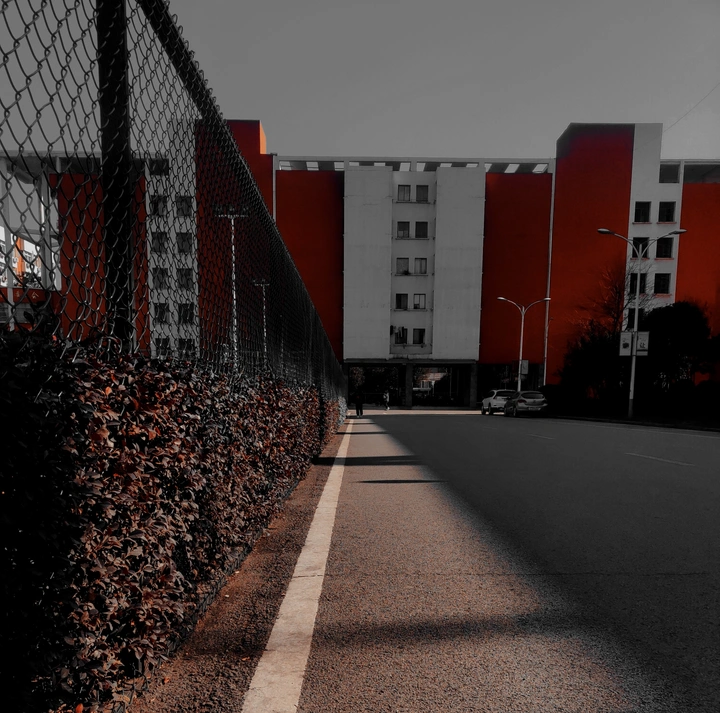 学校