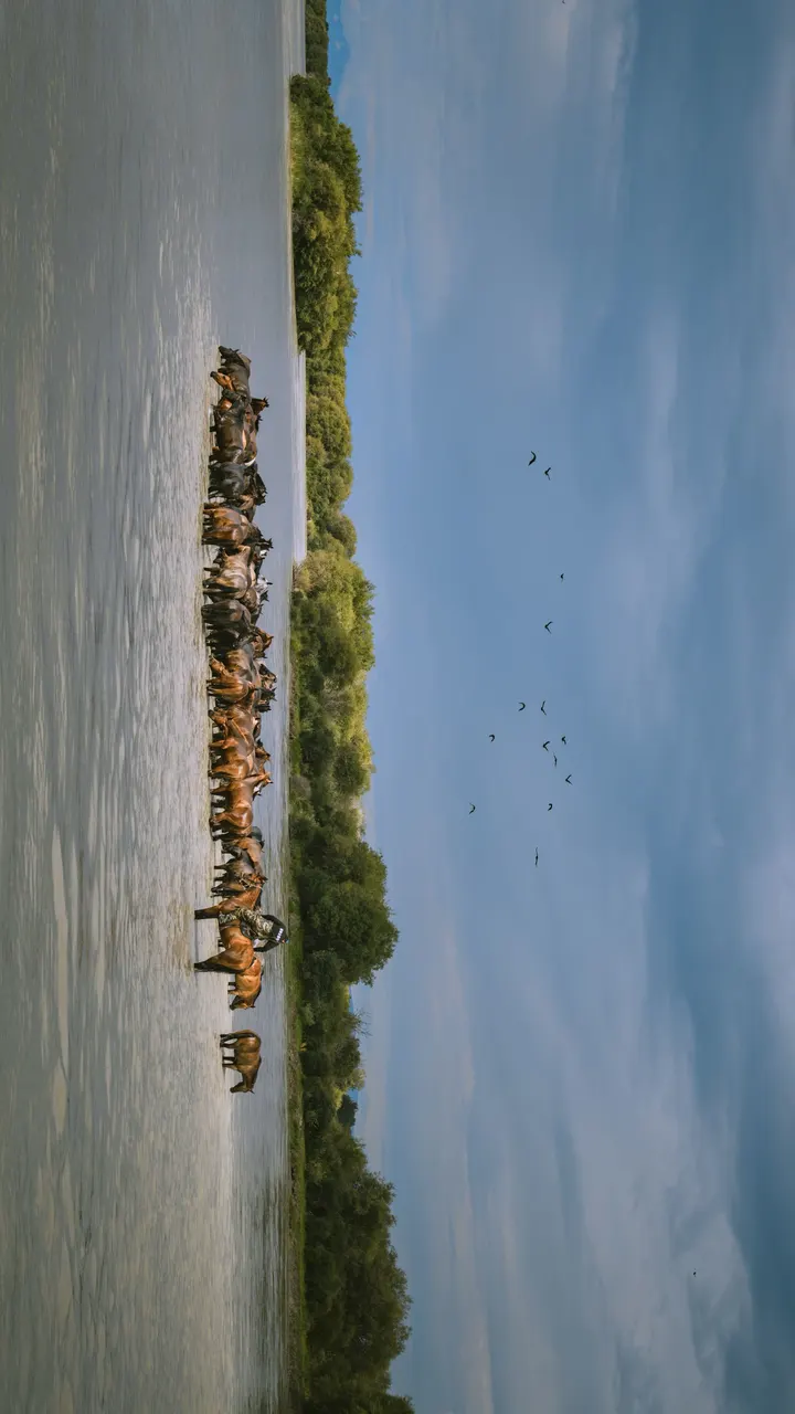 天马浴河
