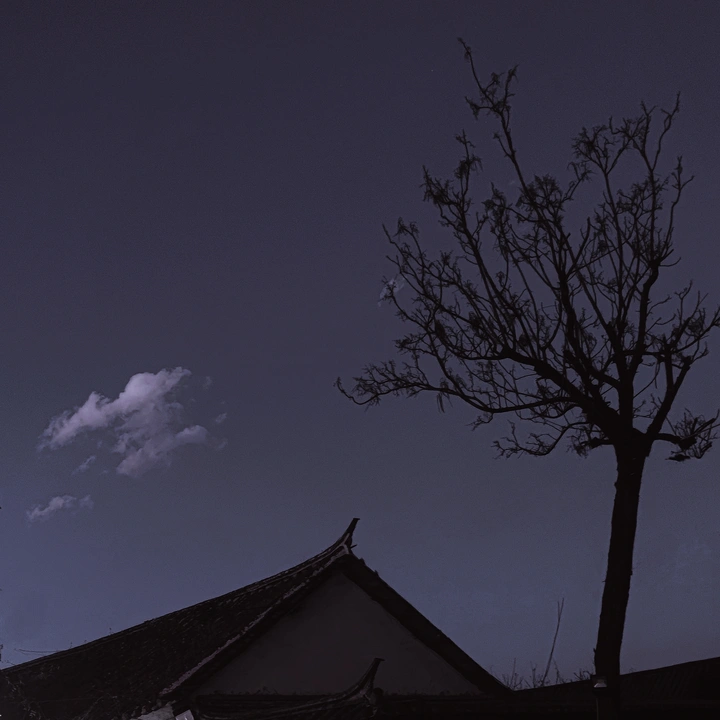 一棵树的对话