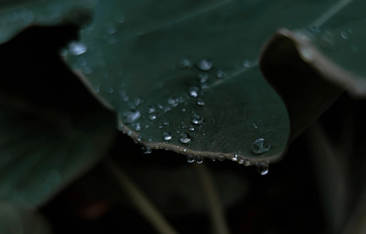 雨后