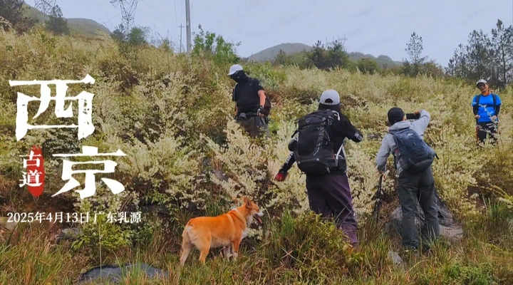 【野花盛开的西京古道】