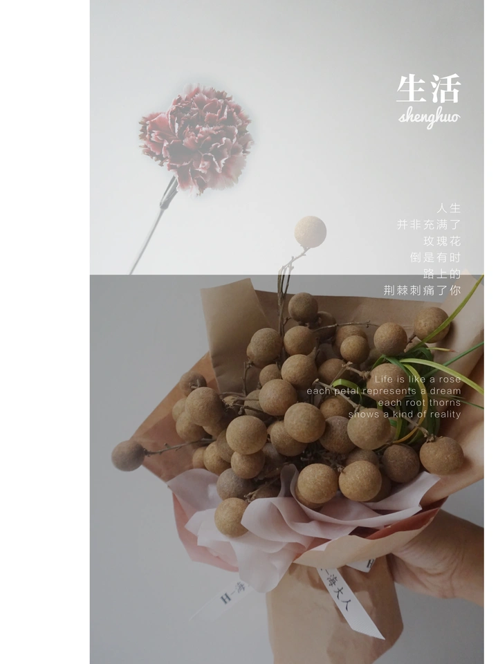 桂圆