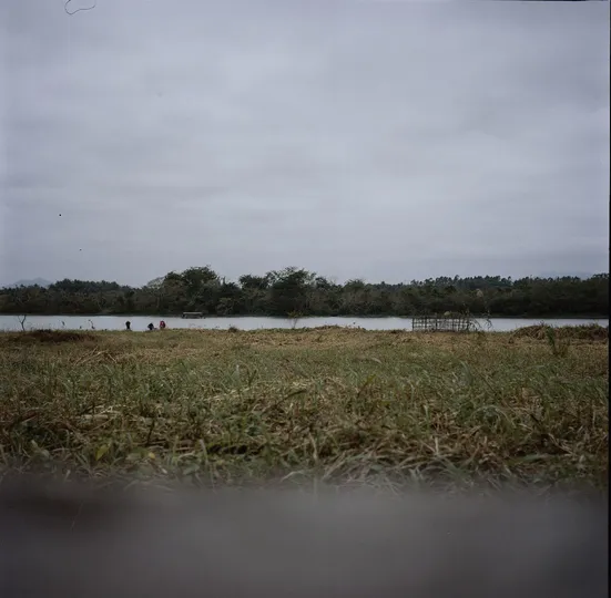 前景中有树木和草的湖泊的视图