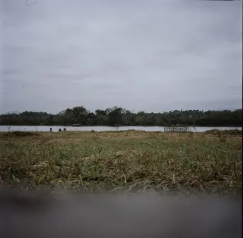 前景中有树木和草的湖泊的视图