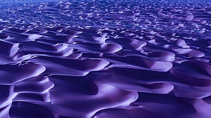 沙海风光