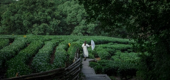 新婚夫妇走过一个迷宫上方用木头搭建的桥。