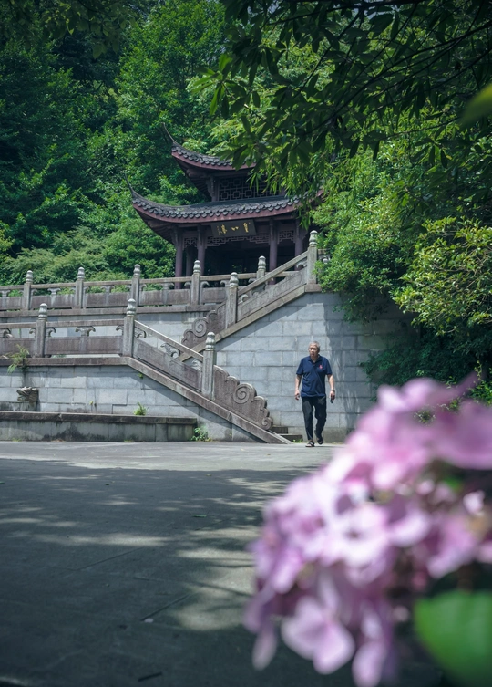 一个人在佛塔前走上楼梯 楼梯上有紫色的花。