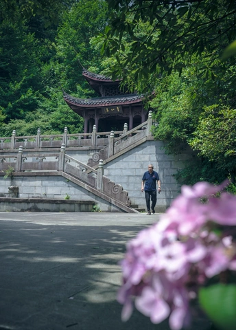 一个人在佛塔前走上楼梯 楼梯上有紫色的花。