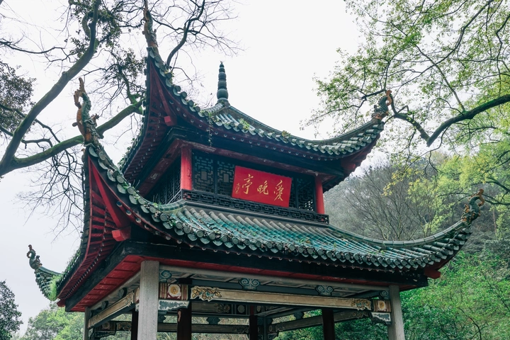 早樱～