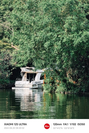 一艘白色的小船漂浮在一些树旁边的水体上
