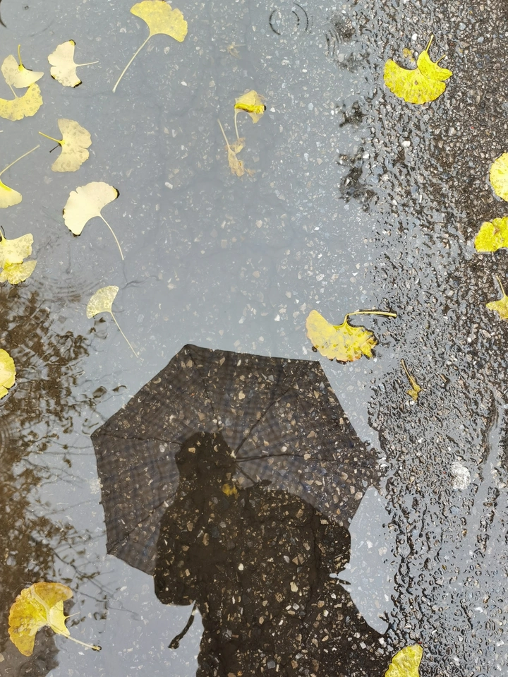 我和雨