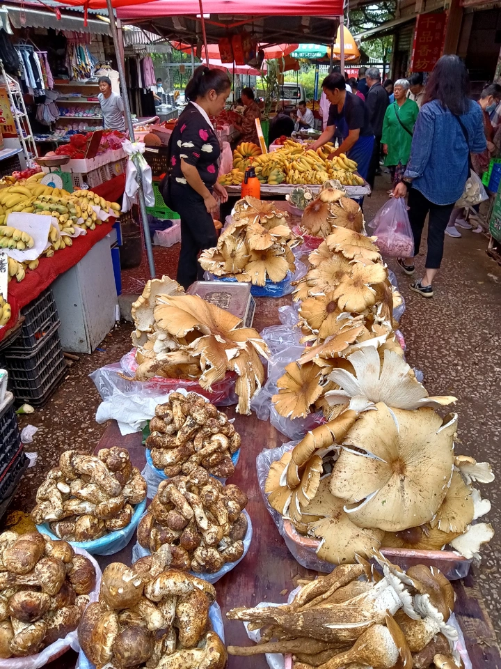 菜市