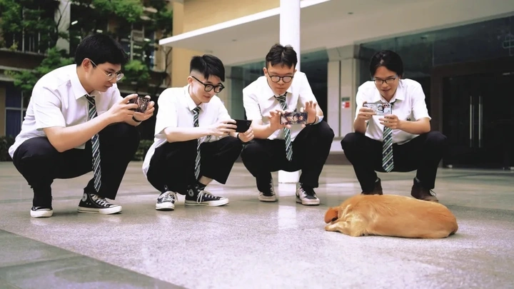 青春的回忆