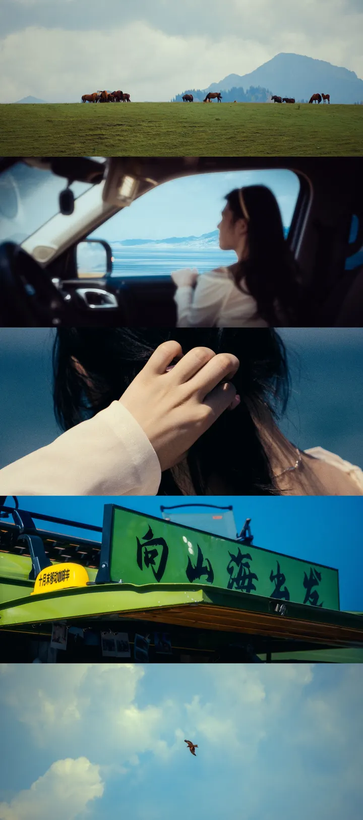 新疆小记