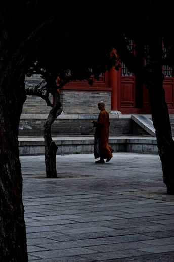 一个人穿着红袍子在走一些树。