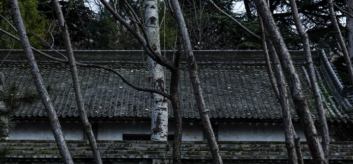 帘斜树隔锁清秋