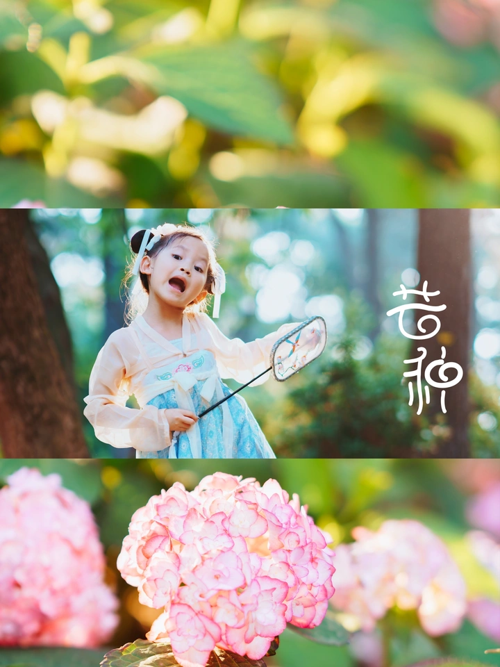 今日芒种