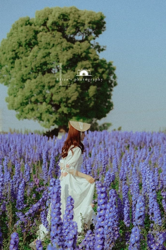 一位穿着白色连衣裙和帽子站在紫花田里的女人