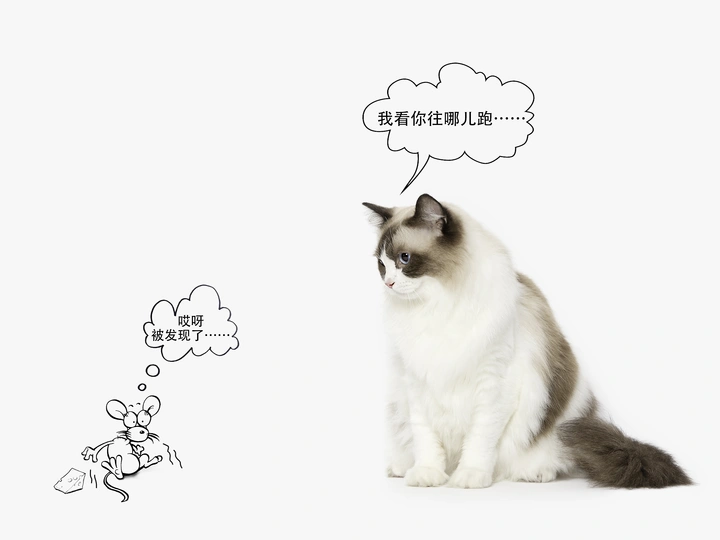像不像偷吃东西被发现的你?