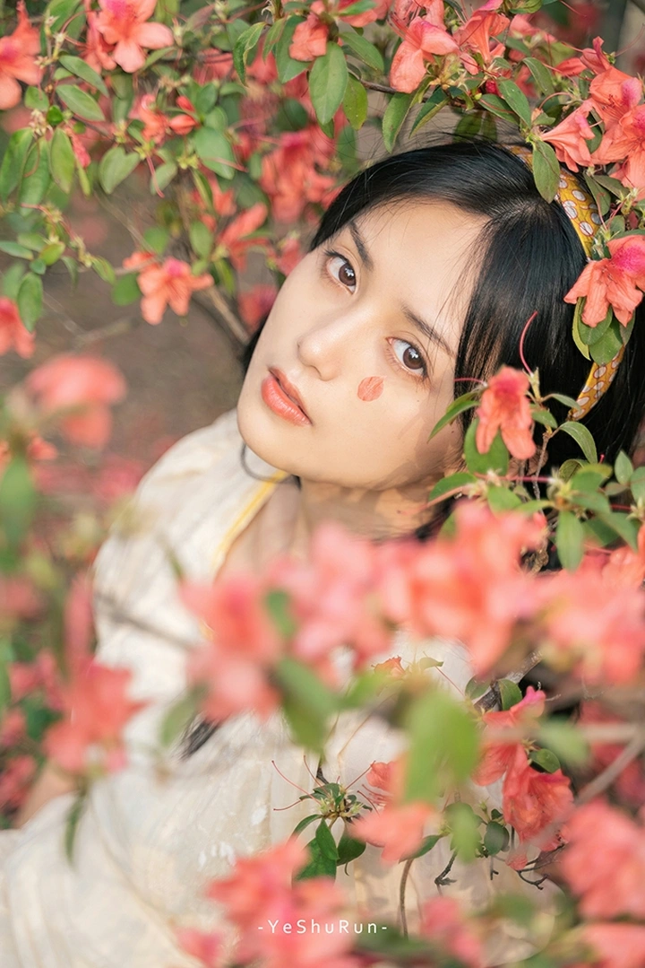 花季物语