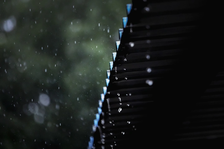 秋雨