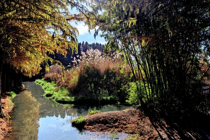 湿地沟汊