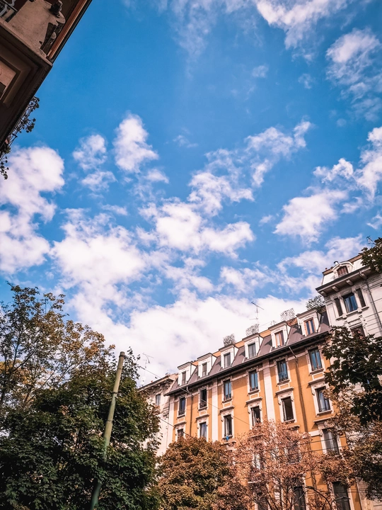 有高楼大厦、树木和蓝天的城市