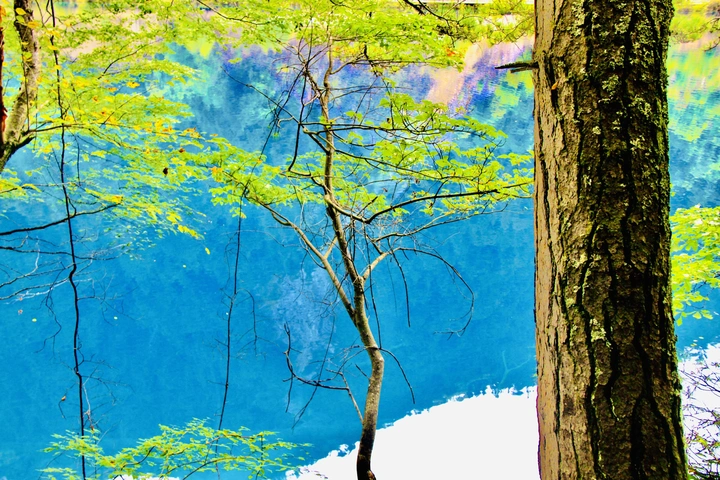 秋水