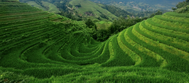 U型梯田