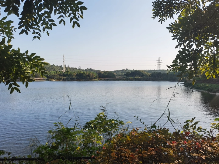 城市花园