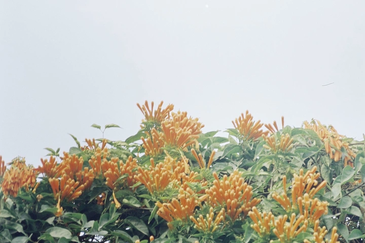 立春