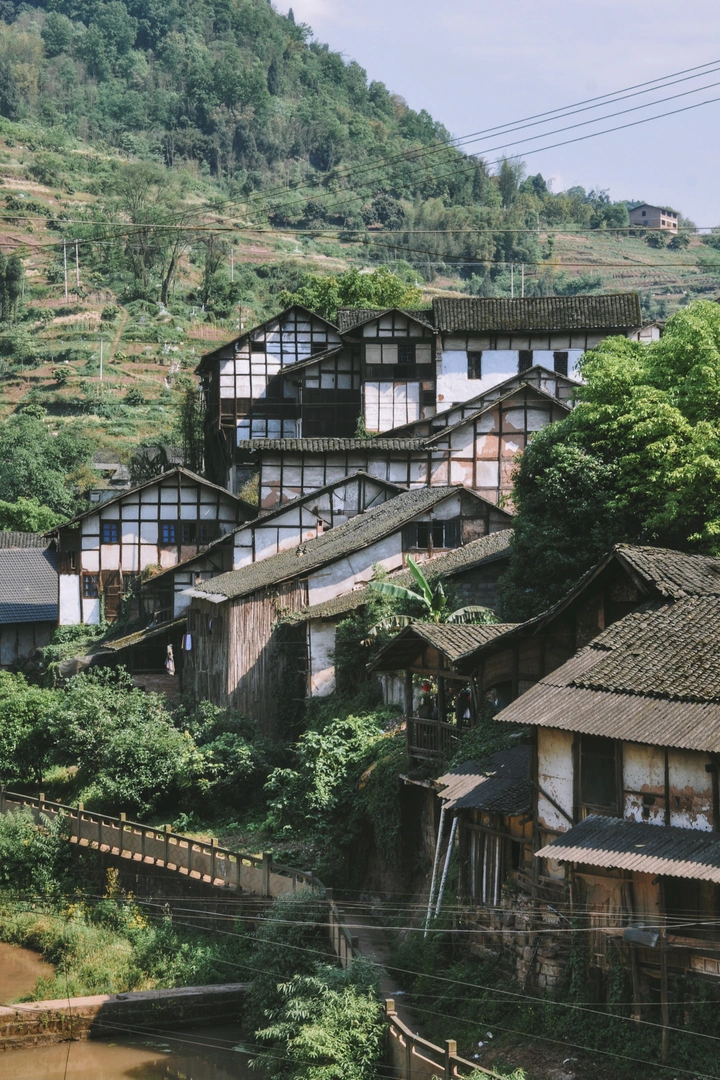 福宝秘境